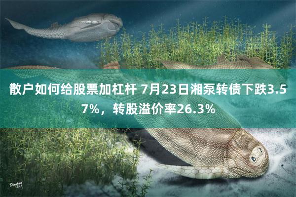 散户如何给股票加杠杆 7月23日湘泵转债下跌3.57%，转股溢价率26.3%