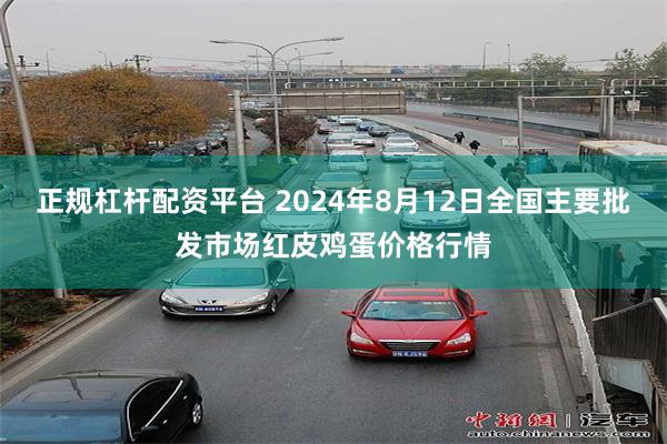 正规杠杆配资平台 2024年8月12日全国主要批发市场红皮鸡蛋价格行情