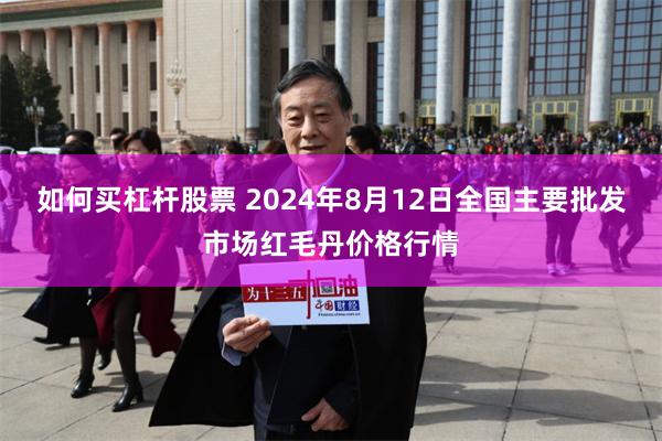 如何买杠杆股票 2024年8月12日全国主要批发市场红毛丹价格行情