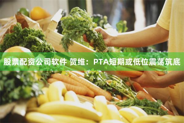 股票配资公司软件 贺维：PTA短期或低位震荡筑底