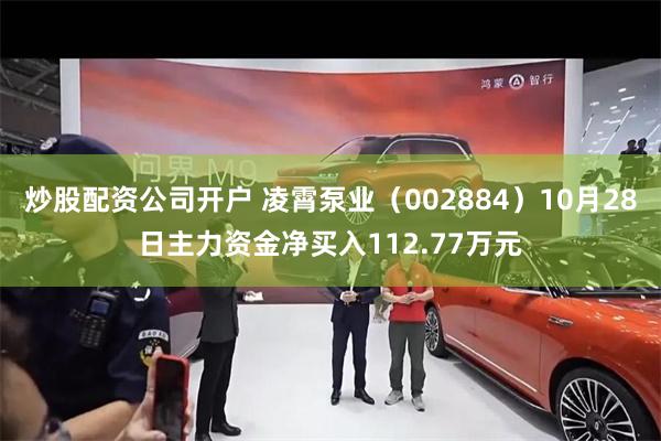 炒股配资公司开户 凌霄泵业（002884）10月28日主力资金净买入112.77万元