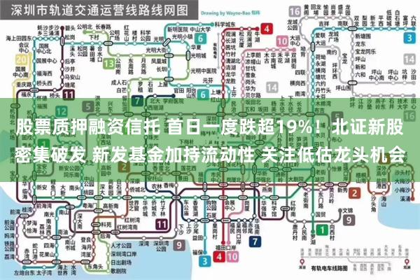 股票质押融资信托 首日一度跌超19%！北证新股密集破发 新发基金加持流动性 关注低估龙头机会