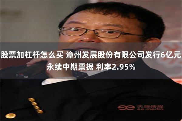 股票加杠杆怎么买 漳州发展股份有限公司发行6亿元永续中期票据 利率2.95%