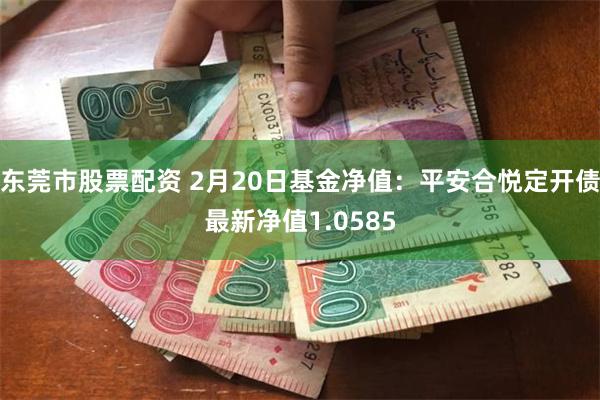 东莞市股票配资 2月20日基金净值：平安合悦定开债最新净值1.0585