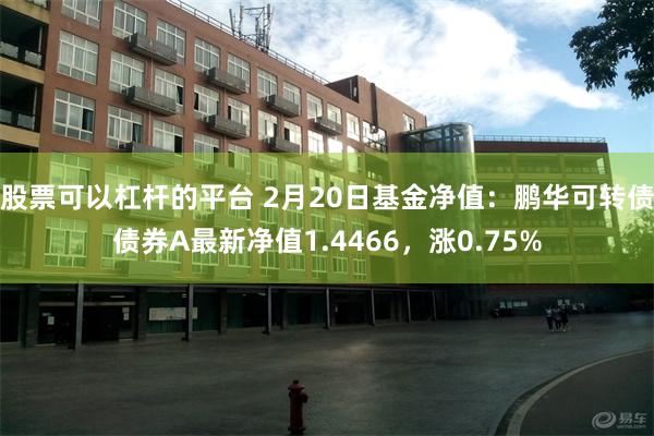 股票可以杠杆的平台 2月20日基金净值：鹏华可转债债券A最新净值1.4466，涨0.75%