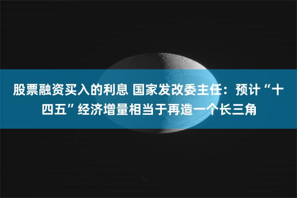 股票融资买入的利息 国家发改委主任：预计“十四五”经济增量相当于再造一个长三角